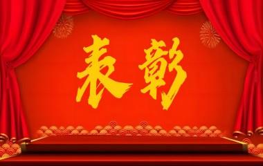 “兩優(yōu)一先”風(fēng)采|遠東電纜（宜賓）載譽歸來