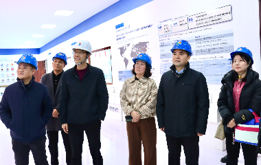 陽(yáng)光電源股份、宜賓智能制造行業(yè)協(xié)會(huì)、宜賓安徽商會(huì)調(diào)研遠(yuǎn)東電纜（宜賓）